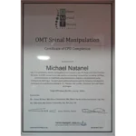 Michael Natanel diploma1
